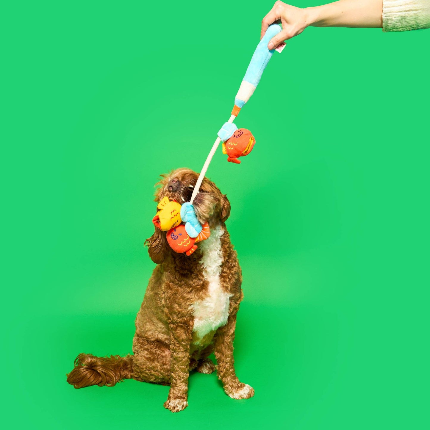 Fishing Nosework & Tug Toy