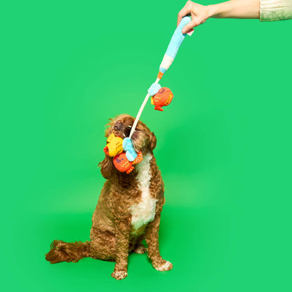 Fishing Nosework & Tug Toy
