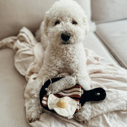 Bfast Set //ENRICHMENT DOG TOY