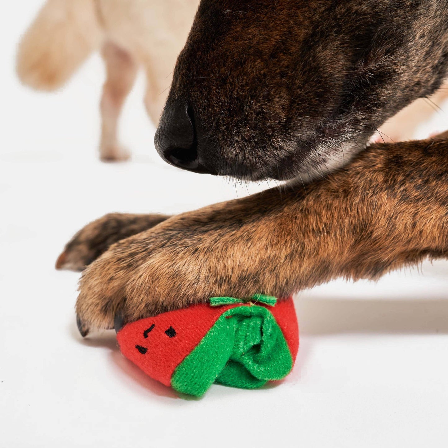 The Furryfolks CHERRY TOMATO Nose Work & Tug Toy