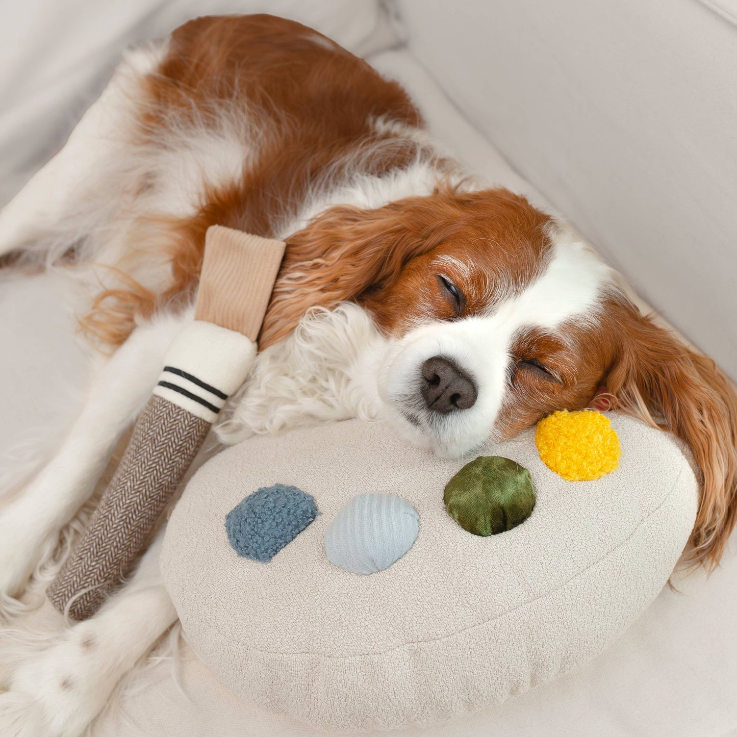 Color Palette Set // ENRICHMENT DOG TOY