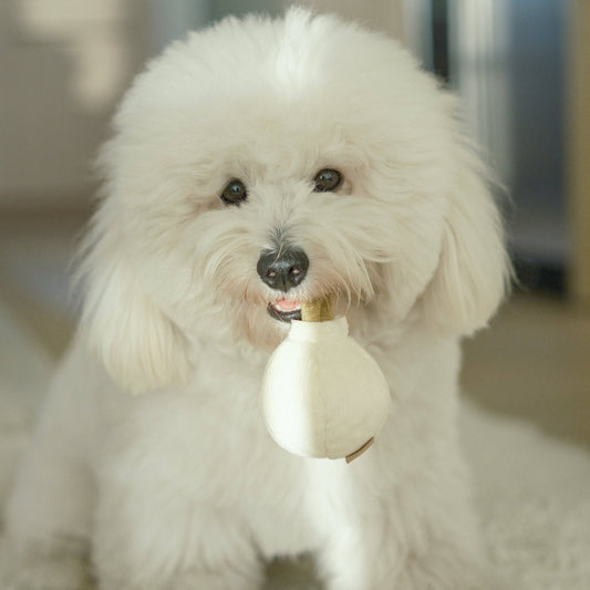 Lambwolf Collective GARLIC POP//ENRICHMENT DOG TOY