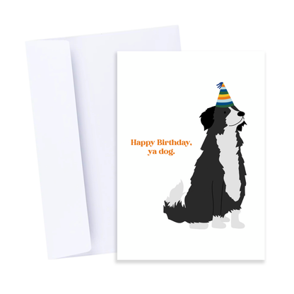 Happy Birthday, Ya Dog Card - Rude and Funny Birthday Card