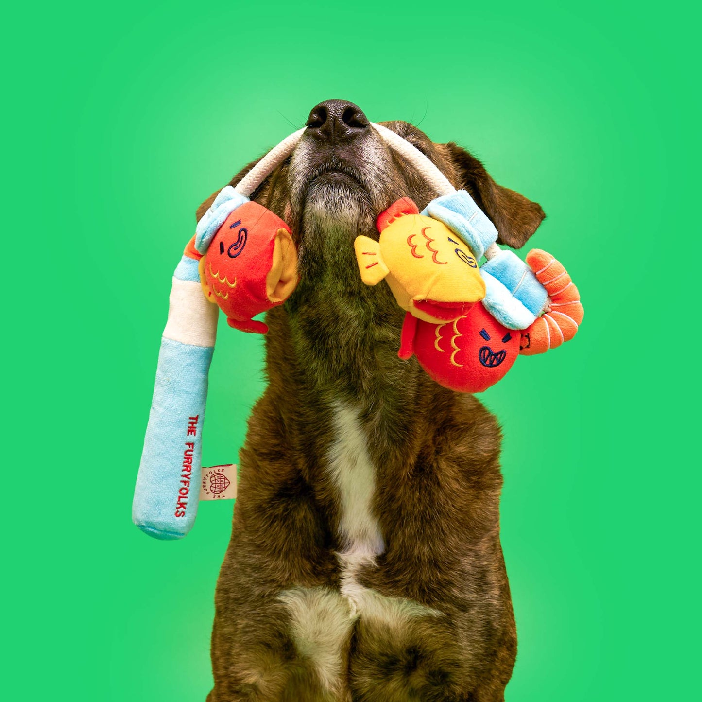 Fishing Nosework & Tug Toy