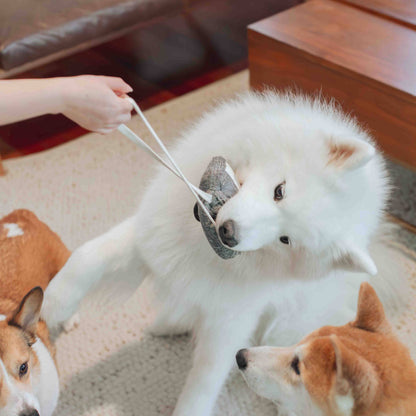 Lambwolf Collective CASSETTE // ENRICHMENT DOG TOY