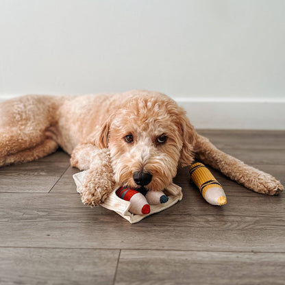 CRAYONS//ENRICHMENT DOG TOY