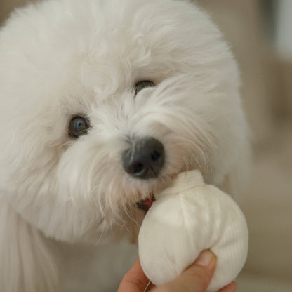 Lambwolf Collective GARLIC POP//ENRICHMENT DOG TOY