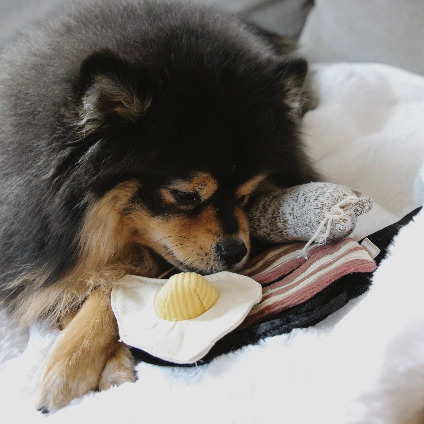 Bfast Set //ENRICHMENT DOG TOY