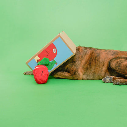 The Furryfolks APPLE Nosework Toy