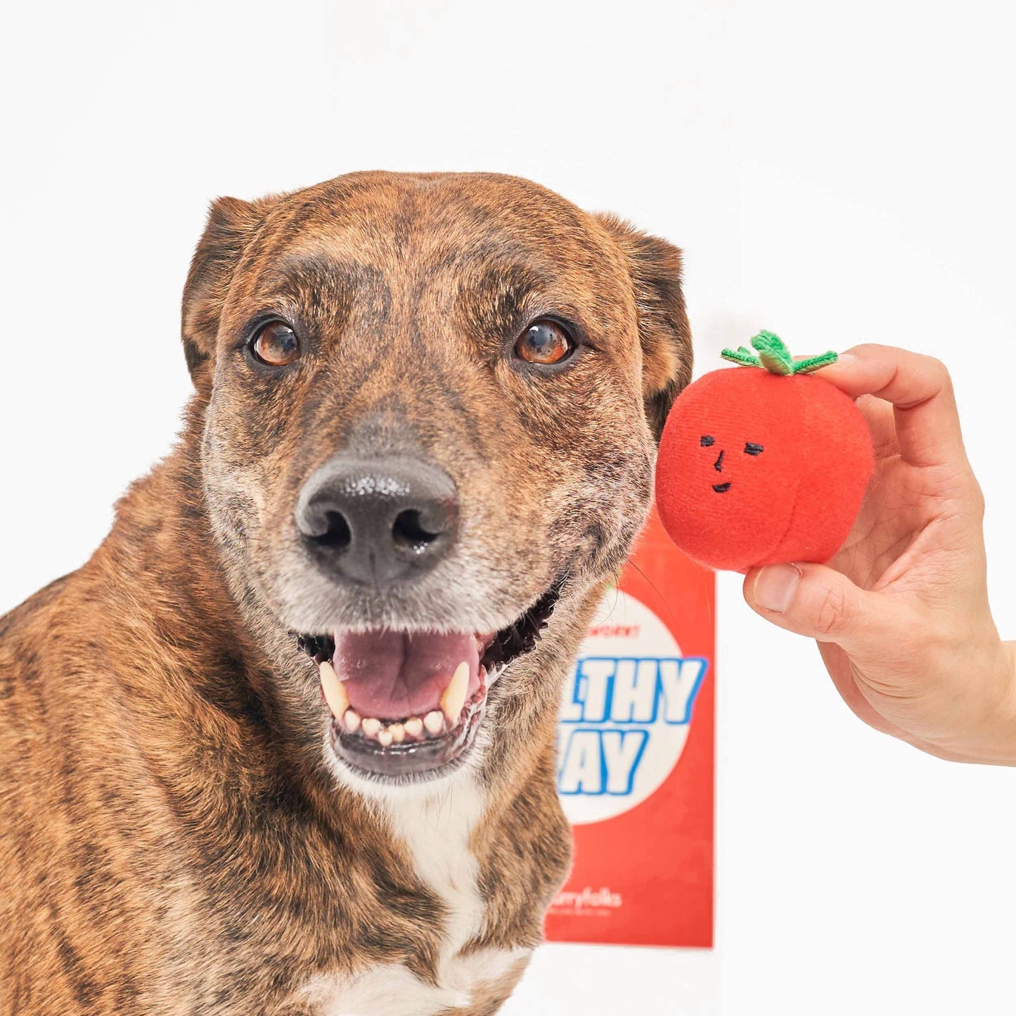 The Furryfolks CHERRY TOMATO Nose Work & Tug Toy