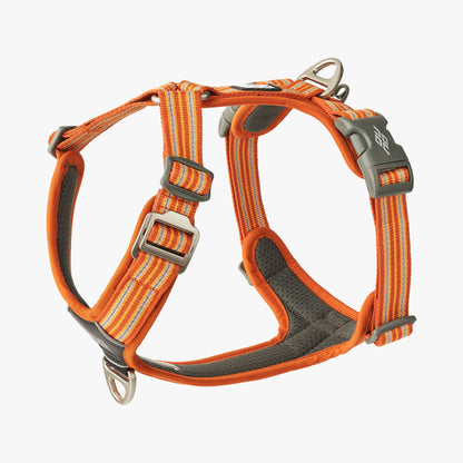 Dog Copehagen Comfort Walk Air™ Harness