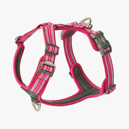 Dog Copehagen Comfort Walk Air™ Harness