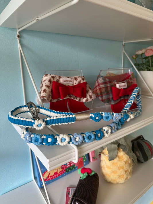 Handmade Floral Braided Dog Leash (Blue)