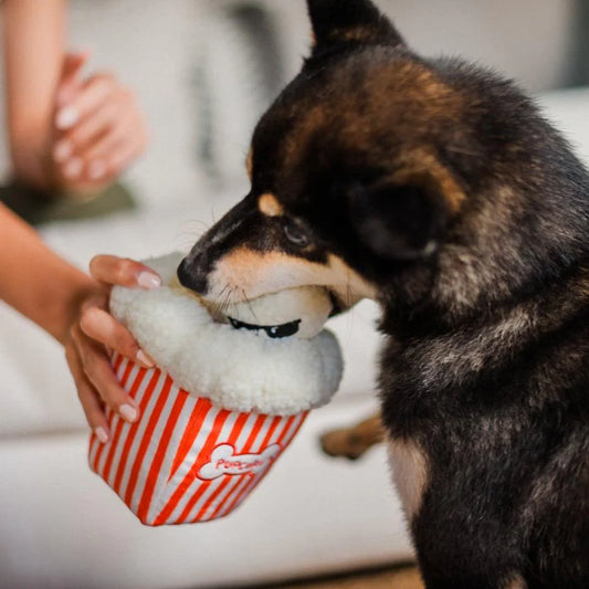 P.L.A.Y Poppin' Pupcorn