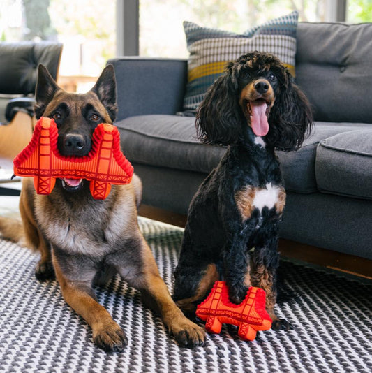 P.L.A.Y Golden Gate Bridge