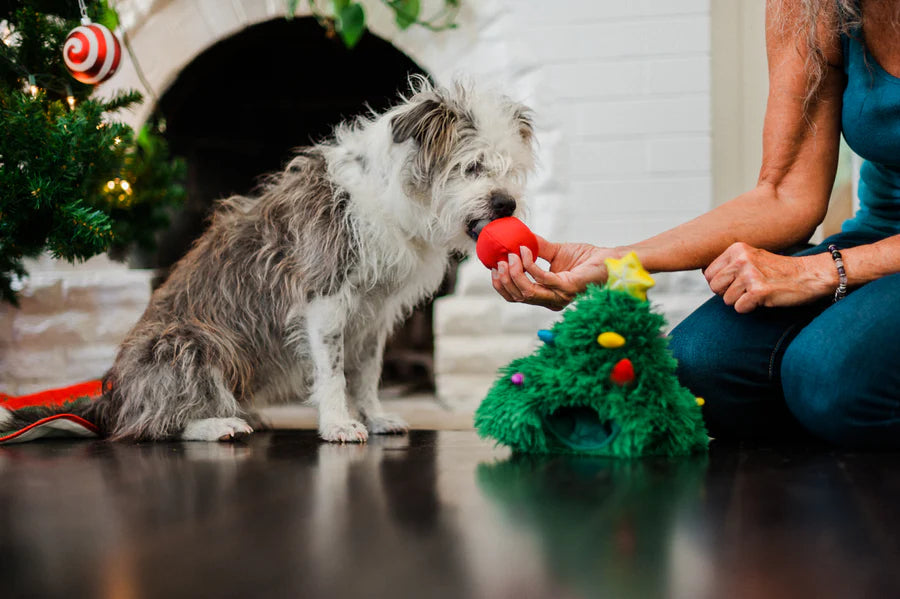 P.L.A.Y Merry Woofmas Doglas Fur