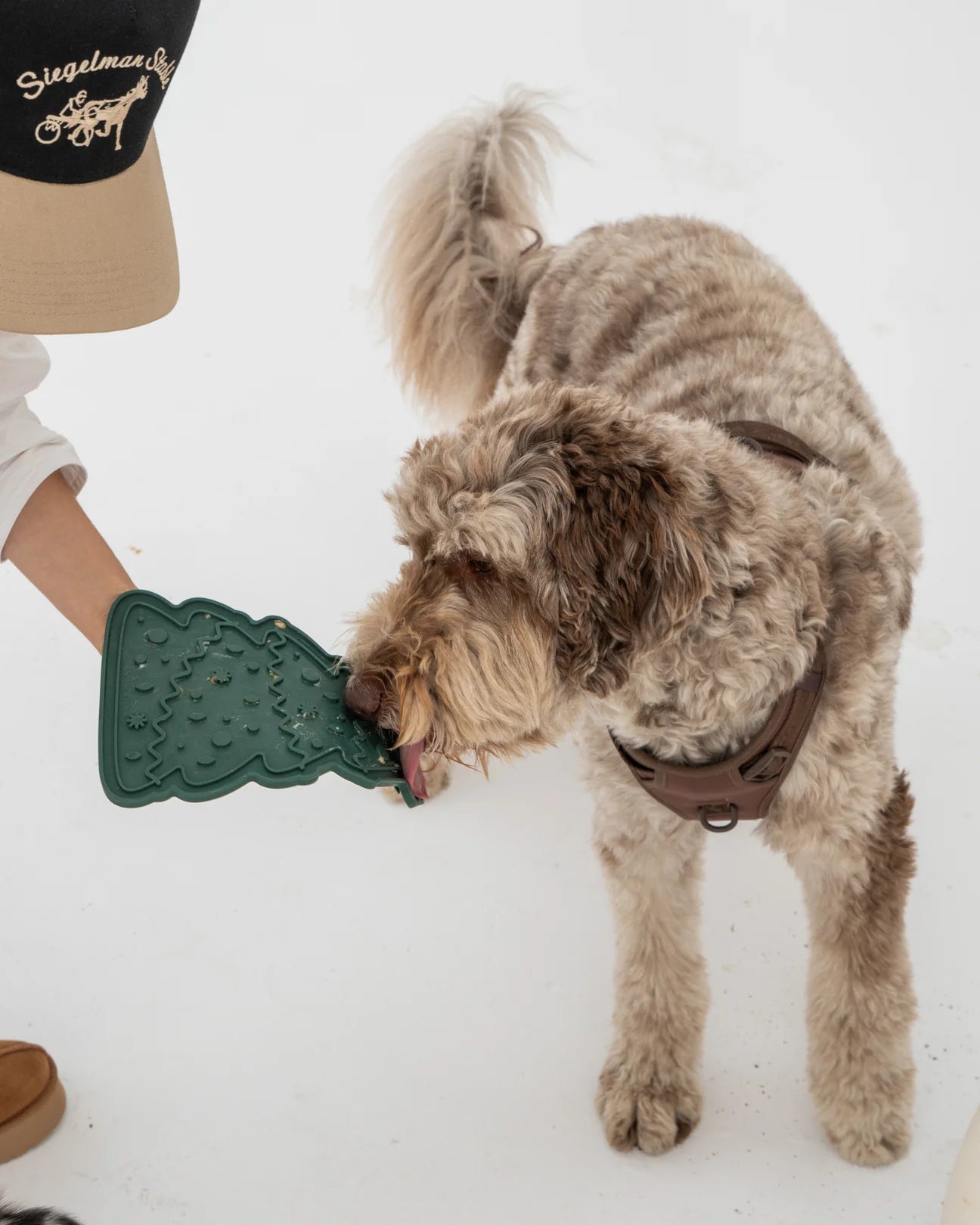 Christmas Tree lick mat+ spatula set