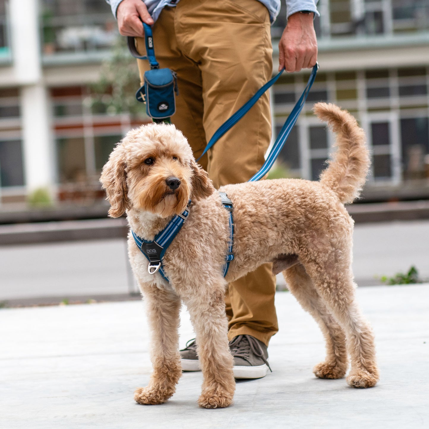 Dog Copehagen Comfort Walk Air™ Harness
