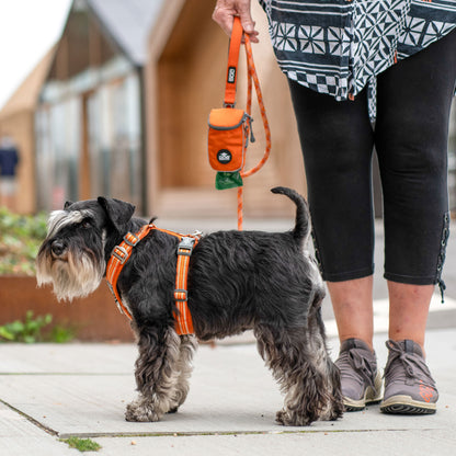 Dog Copehagen Comfort Walk Air™ Harness