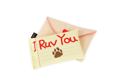 P.L.A.Y. Ruv Letter