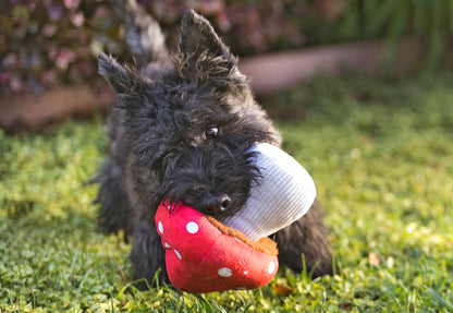 P.L.A.Y Mutt's Mushroom