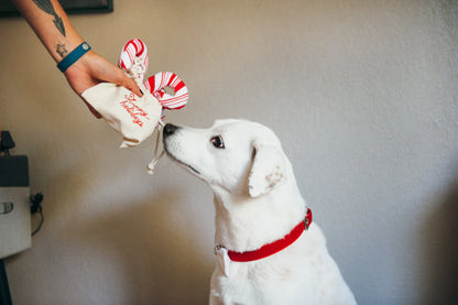 P.L.A.Y Cheerful Candy Canes