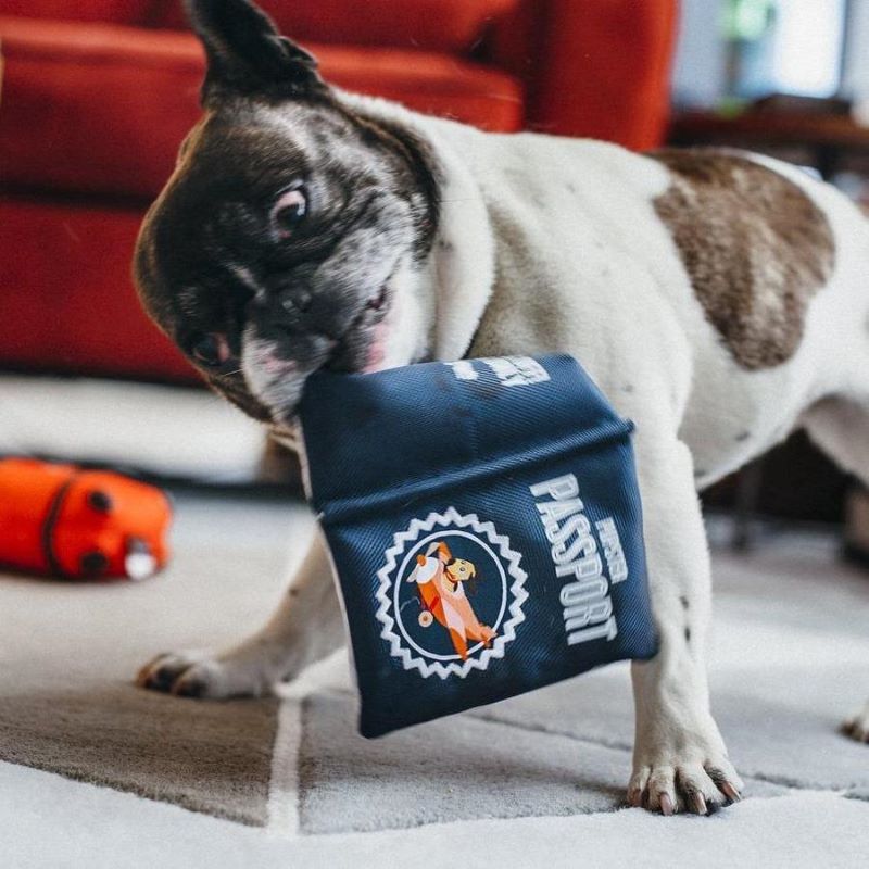 P.L.A.Y Pupster Passport