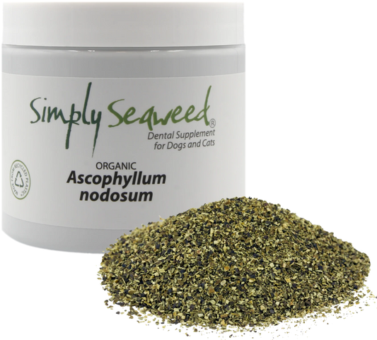 Simply Seaweed Dental Supplement