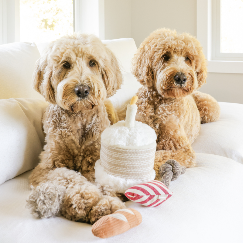 Birthday Cake // Burrow Toy