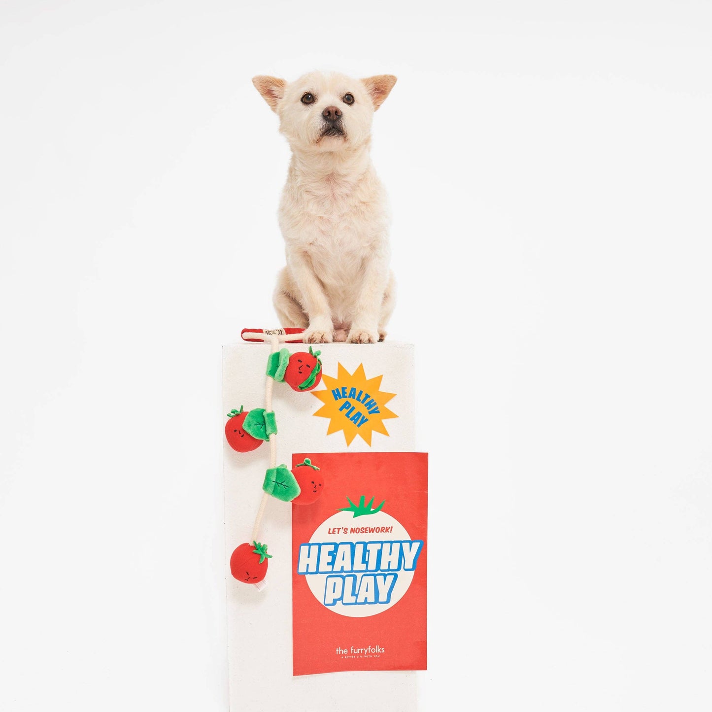 The Furryfolks CHERRY TOMATO Nose Work & Tug Toy