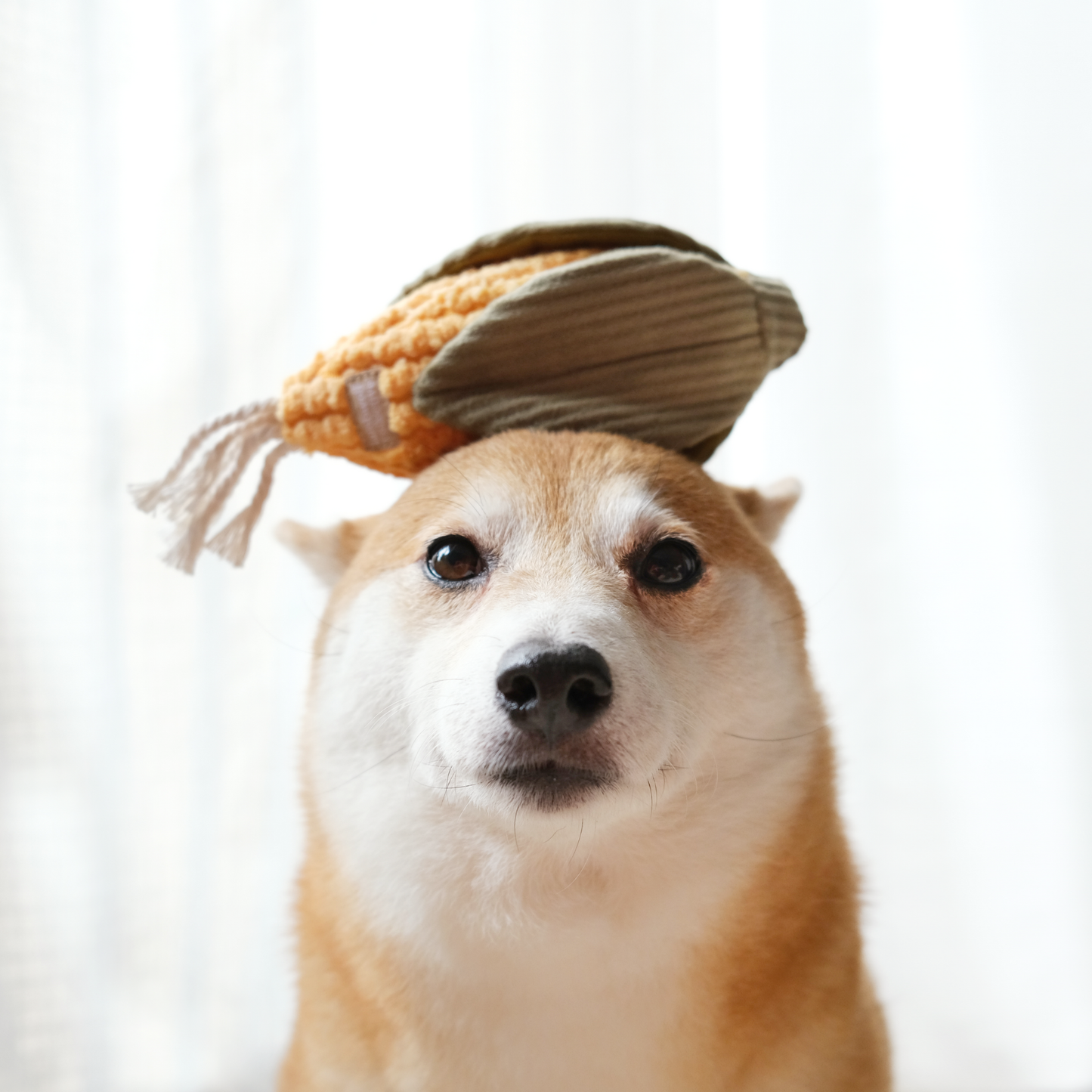 Lambwolf Collective FARMER'S MARKET SET