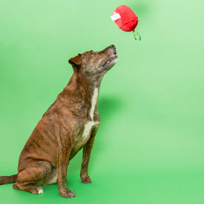 The Furryfolks APPLE Nosework Toy