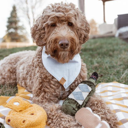 Lambwolf Collective MERLOT//ENRICHMENT DOG TOY