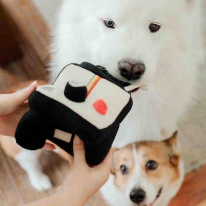 Lambwolf Collective INSTANT CAMERA // ENRICHMENT DOG TOY