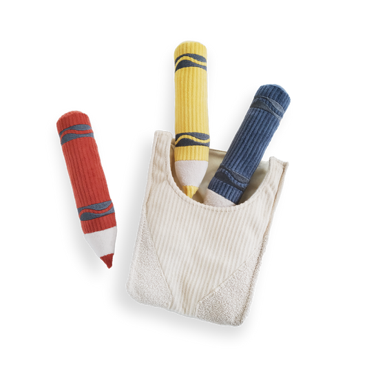 CRAYONS//ENRICHMENT DOG TOY