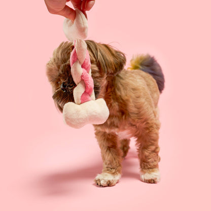 Bone Appétit Nosework Toy