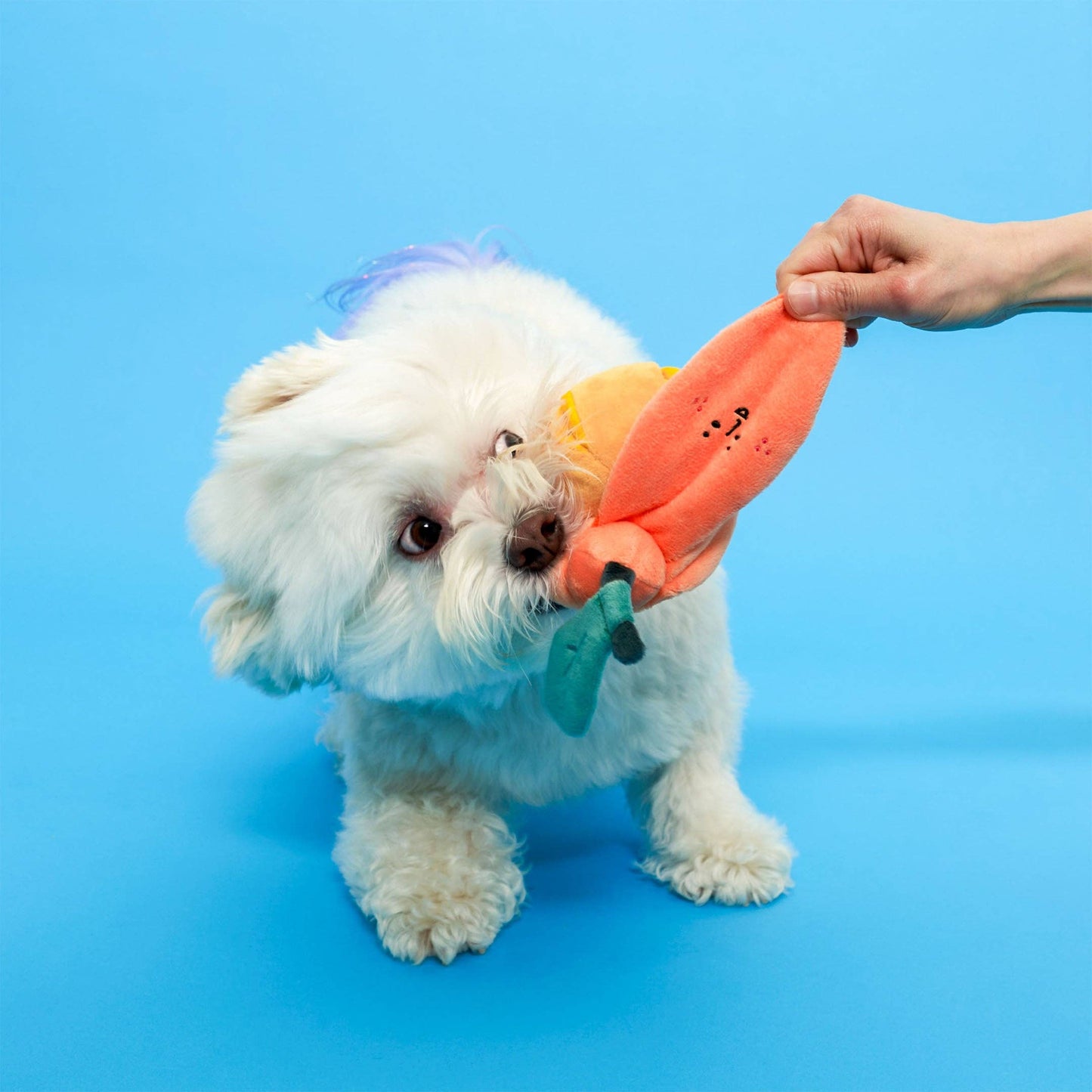 The Furryfolks ORANGE Nosework Toy