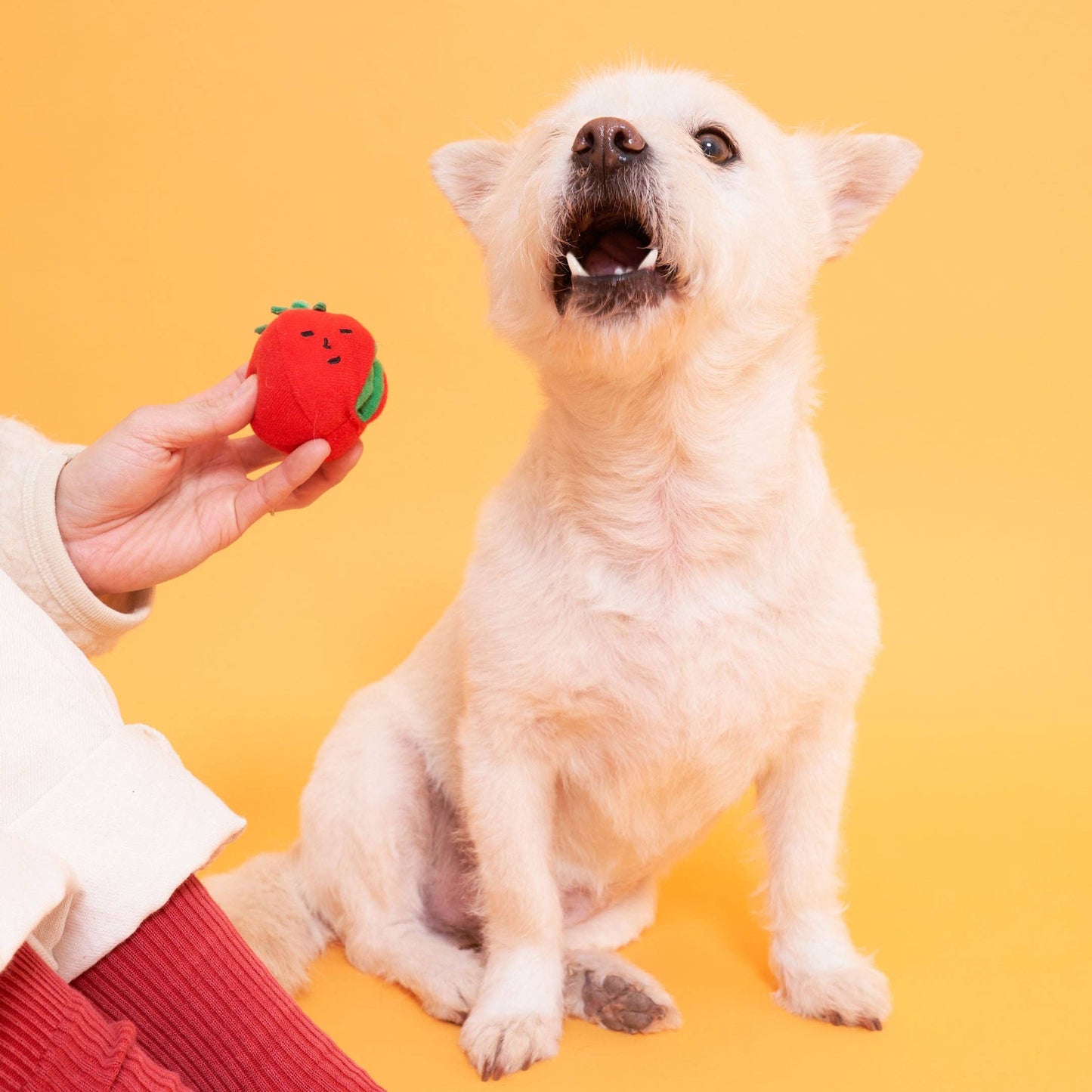 The Furryfolks CHERRY TOMATO Nose Work & Tug Toy