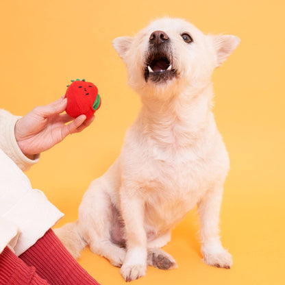 The Furryfolks CHERRY TOMATO Nose Work & Tug Toy