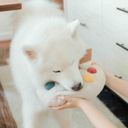 Color Palette Set // ENRICHMENT DOG TOY