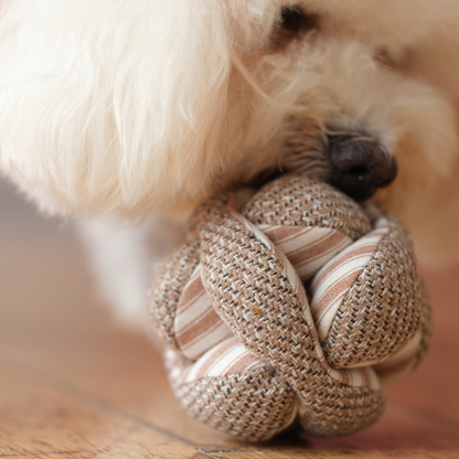 MINI MONTI //Enrichment Toy