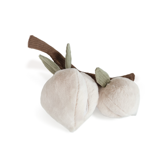 Lambwolf Collective MOMO