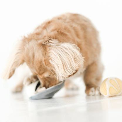 Lambwolf Collective GILLARDEAU//ENRICHMENT DOG TOY