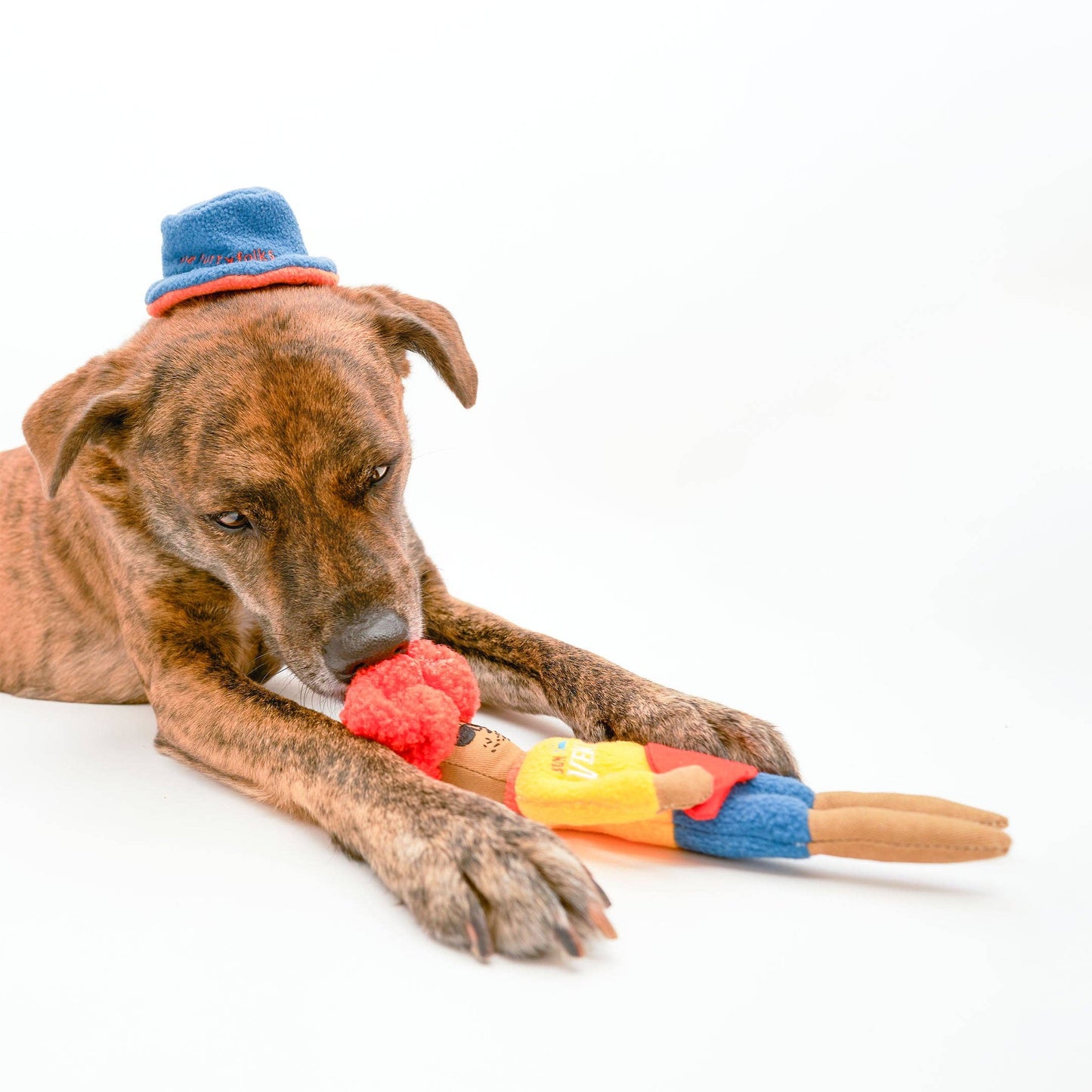 The Furryfolks SURFER HOOMAN