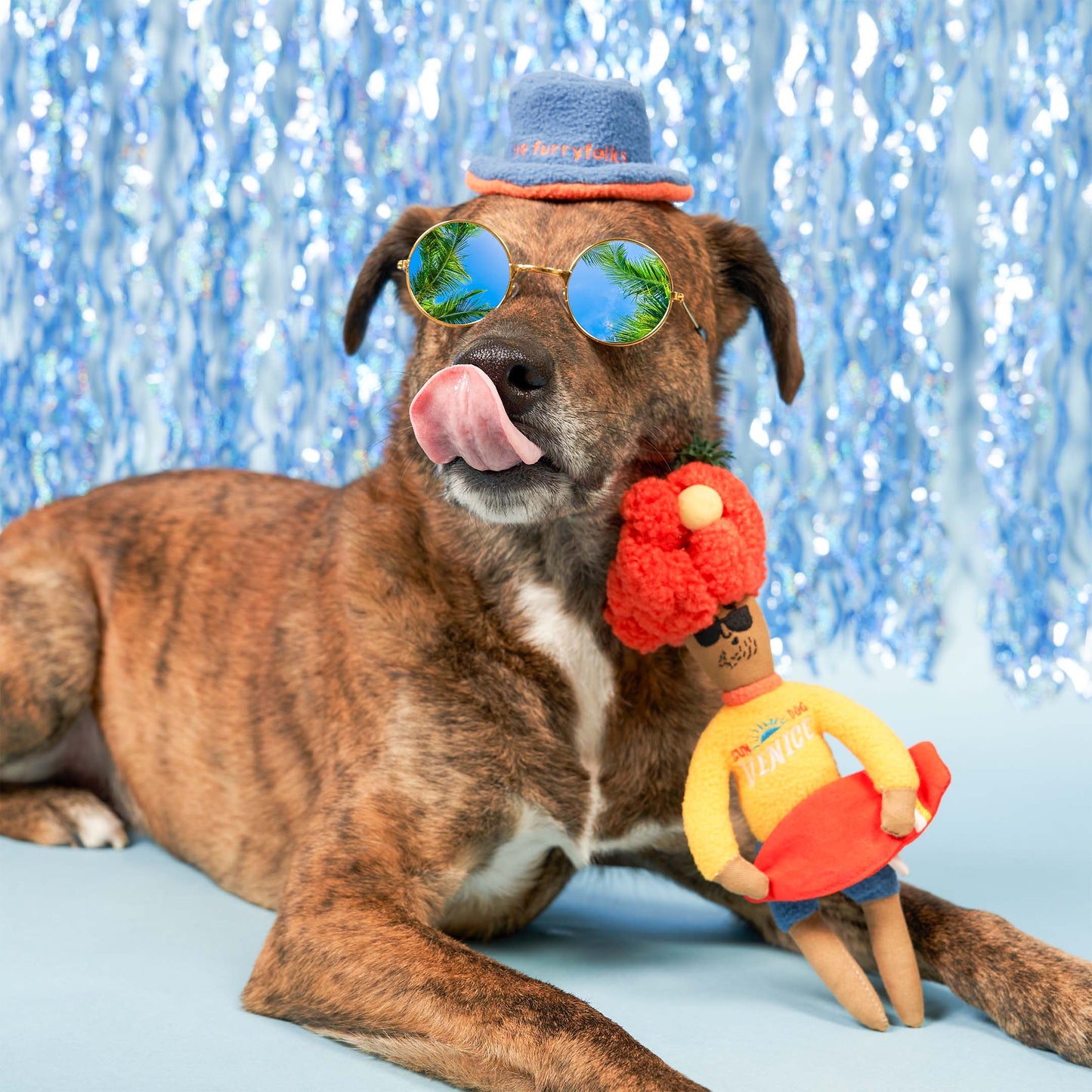 The Furryfolks SURFER HOOMAN