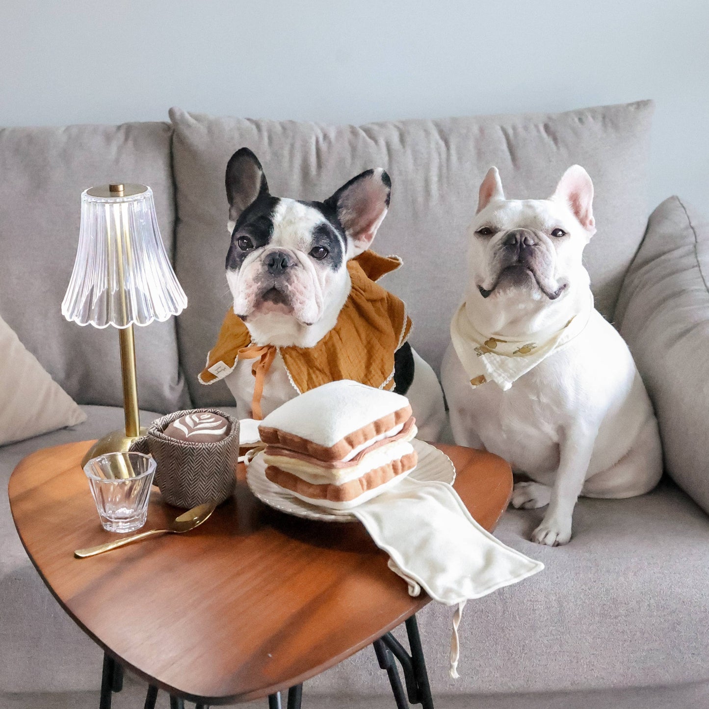 Lambwolf Collective LATTE POP