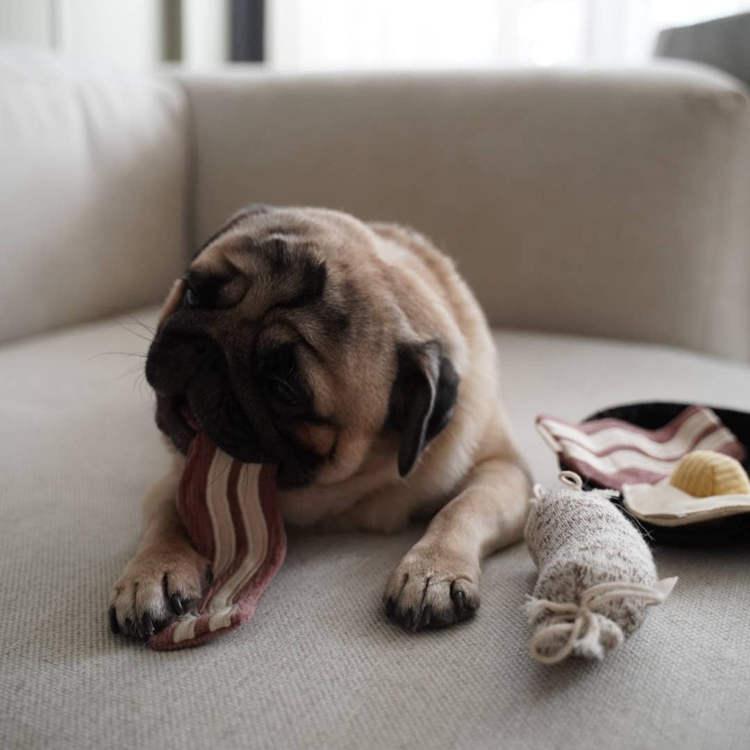Bfast Set //ENRICHMENT DOG TOY