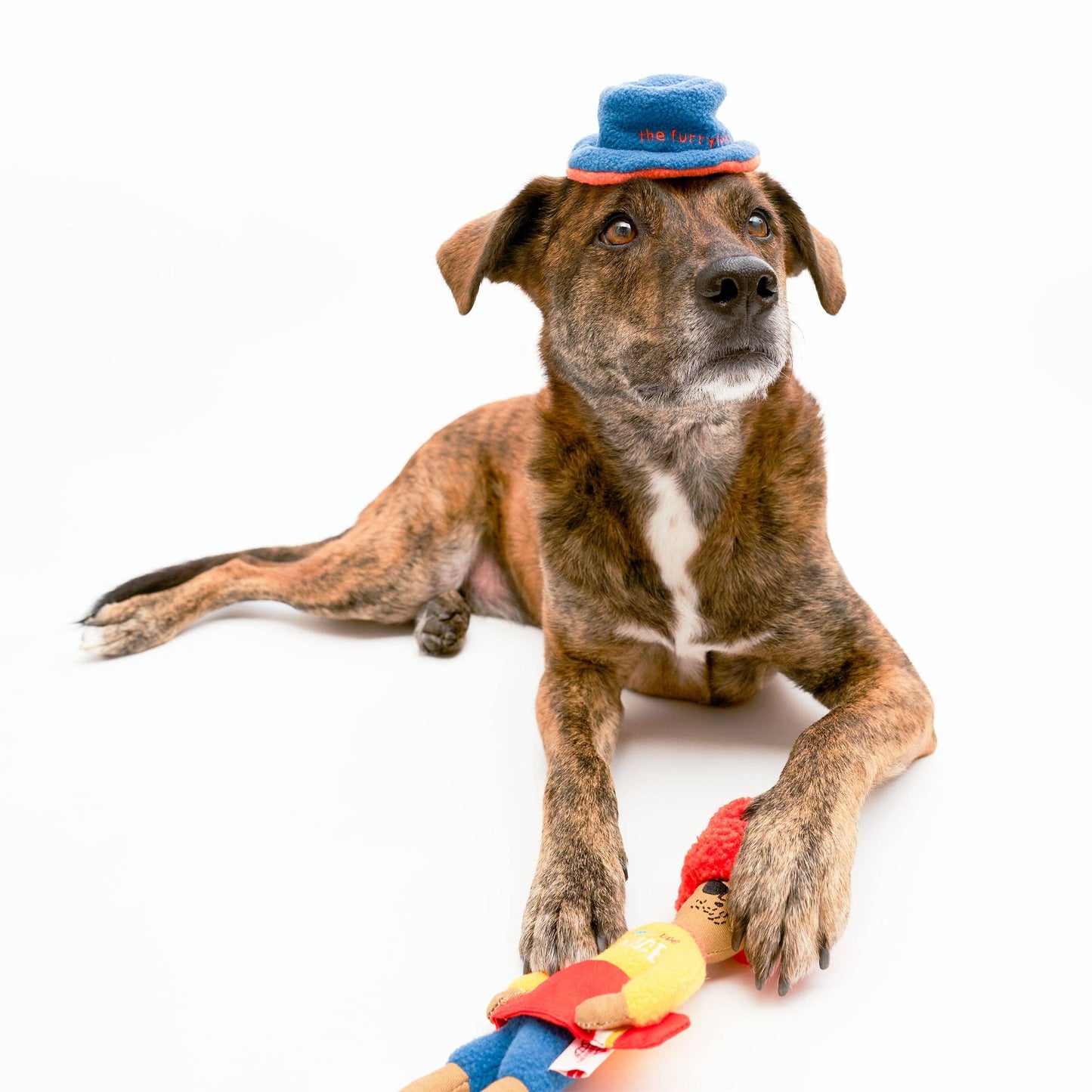 The Furryfolks SURFER HOOMAN