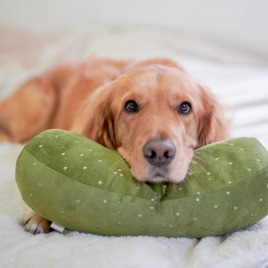 Lambwolf Collective GIANT PICKLE//ENRICHMENT DOG TOY