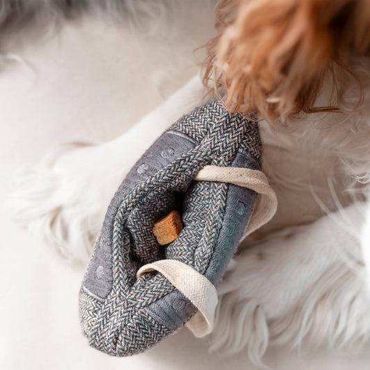 Lambwolf Collective CASSETTE // ENRICHMENT DOG TOY